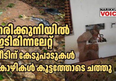 നരിക്കുനിയിൽ ഇടിമിന്നലേറ്റ് വീടിന് കേടുപാട്, ഗൃഹനാഥന് പരുക്ക്