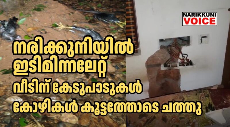 നരിക്കുനിയിൽ ഇടിമിന്നലേറ്റ് വീടിന് കേടുപാട്, ഗൃഹനാഥന് പരുക്ക്