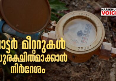 വാട്ടര്‍ മീറ്ററുകള്‍ സുരക്ഷിതമാക്കാൻ നിർദേശം &nbsp;