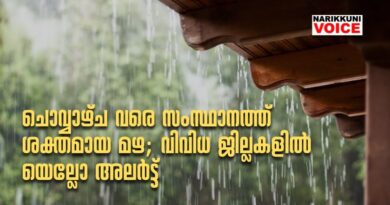 ചൊവ്വാഴ്ച വരെ സംസ്ഥാനത്ത് ശക്തമായ മഴ; വിവിധ ജില്ലകളില്‍ യെല്ലോ അലര്‍ട്ട്