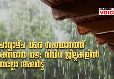 ചൊവ്വാഴ്ച വരെ സംസ്ഥാനത്ത് ശക്തമായ മഴ; വിവിധ ജില്ലകളില്‍ യെല്ലോ അലര്‍ട്ട്