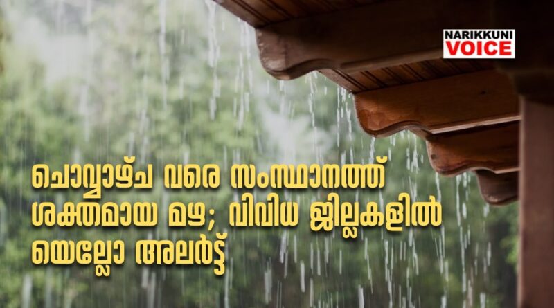 ചൊവ്വാഴ്ച വരെ സംസ്ഥാനത്ത് ശക്തമായ മഴ; വിവിധ ജില്ലകളില്‍ യെല്ലോ അലര്‍ട്ട്